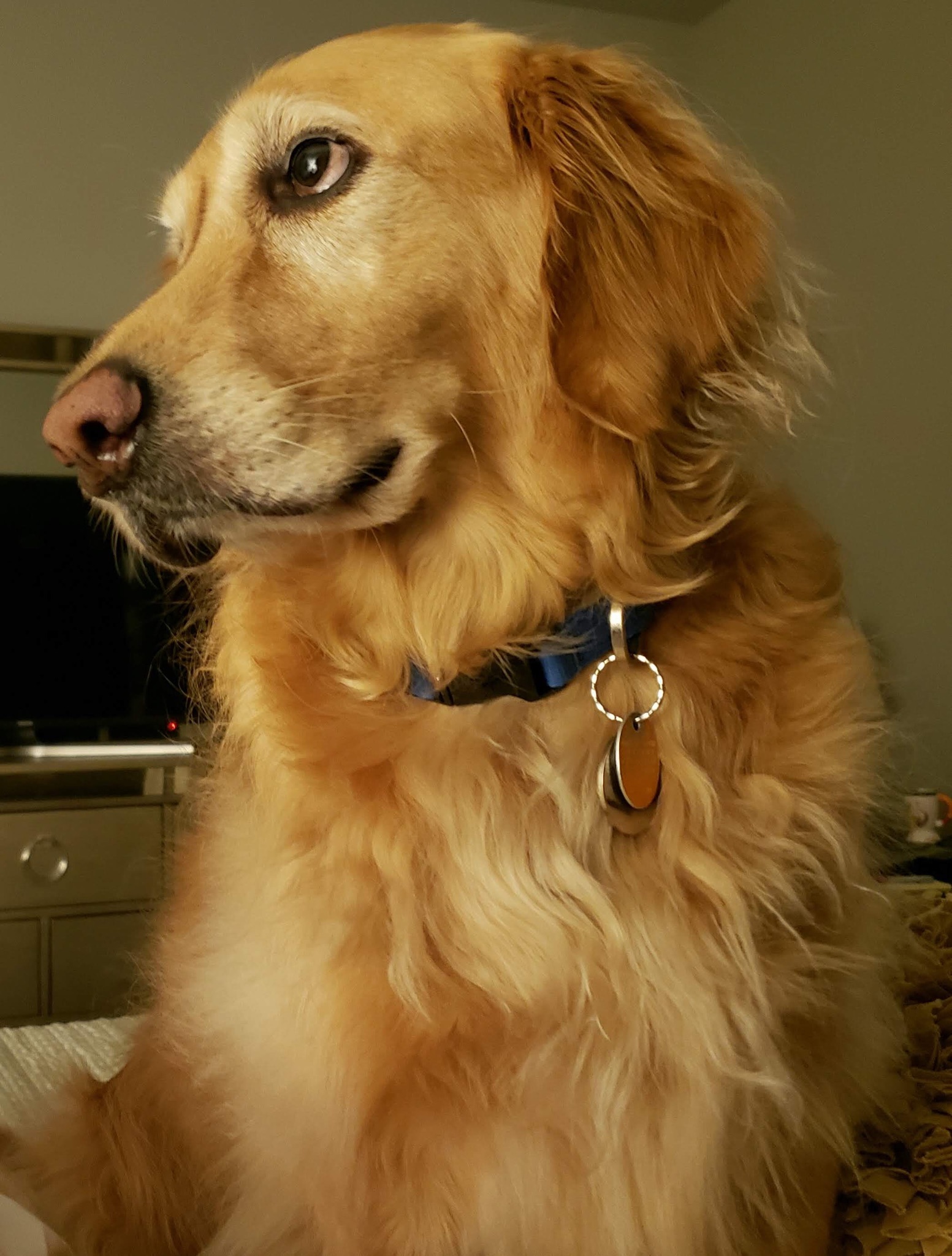 Louie memory